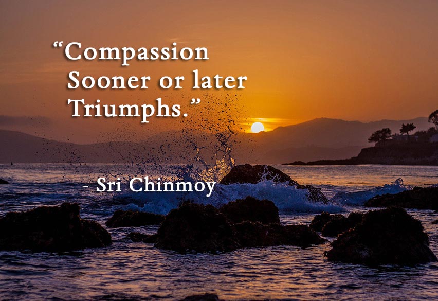 compassions-triumphs